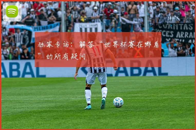 独家专访：解答“世界杯赛在哪看”的所有疑问